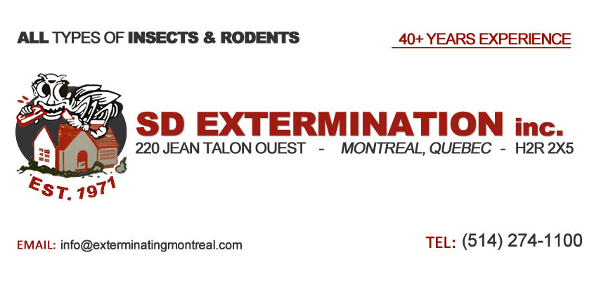 SD-Extermination-Business-Card